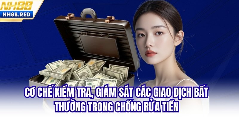 Cơ chế kiểm tra, giám sát các giao dịch bất thường trong chống rửa tiền