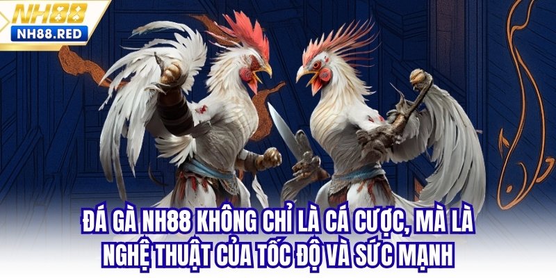 Đá gà NH88 không chỉ là cá cược, mà là nghệ thuật của tốc độ và sức mạnh